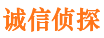 焦作捉小三公司